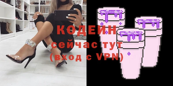 мдпв Дмитриев