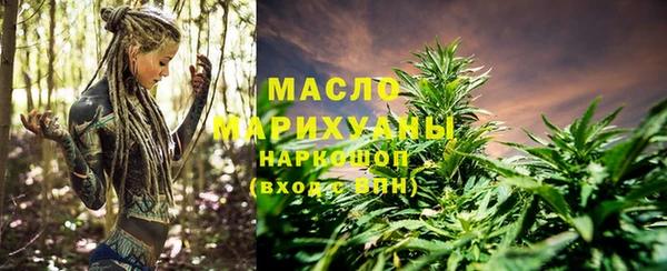 гашик Алексеевка