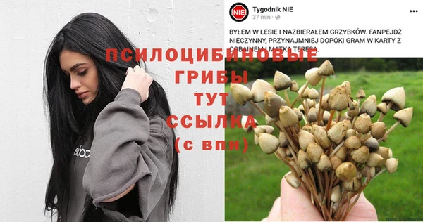 мескалин Армянск
